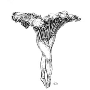 Flirtatious Fungi #4 - 8.5 x 11" Print