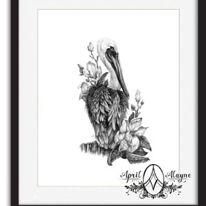 Pelican 8.5x11in Fine Art Print