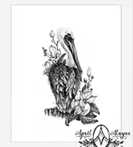 The Pelican