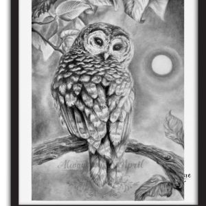Little Owl 8.5x11in Fine Art Print