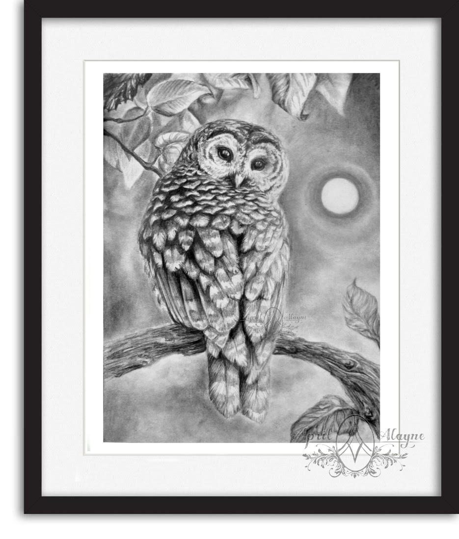 FRMTheOwl